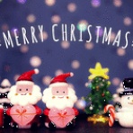 STOCK TRAINのブログ