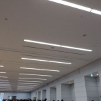 ペットショップふじやのブログ