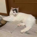 マグレカナールとトマトファルシに赤ワイン