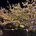 「でぶねこ」クロの一言blog