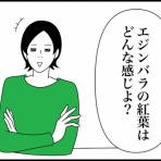 ホリー絵日記