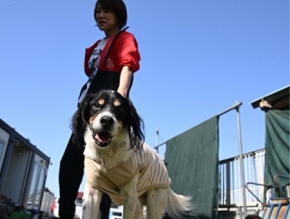 インディ爺ちゃんの幸せ日記💓💓💓