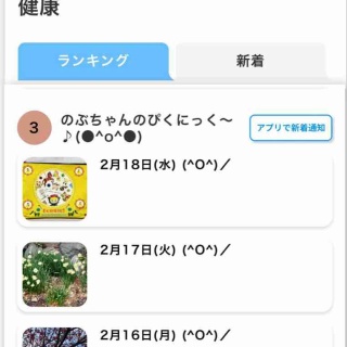    のぶちゃんのぴくにっく～♪(●^o^●)