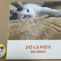 写真展「パレスチナの猫」＠福山・アンラーンとトーク「パレスチナの家族の今」