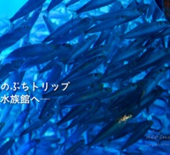 オトナのぷちトリップ ─夜の水族館へ─