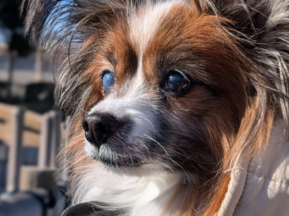 2025年【買ってよかったもの】ベスト5！