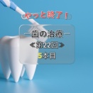 第22回 歯の治療