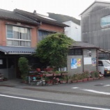 『【仁淀川友釣り日記その2】休んでのこたぁなかったわ。』の画像