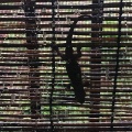 250807の天気