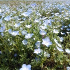 �ؾ��µ�ǰ����ǲָ��٤β���