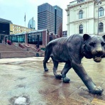 noribooooone『ココロノレイトウコ』