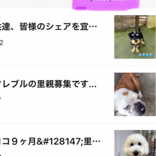 NPO法人ペット里親会