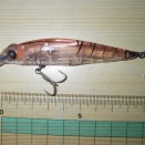 アロウズ　ララ