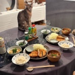 おうちごはんとおかしとねこ