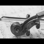 Music Cafe's 日記帳