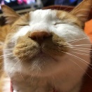コトメ子（１５）が娘（９）に乱暴しようとしているところを私が発見し、救出。トメ・コトメ「コトメ子はそんなことしない」「娘が誘ったんだろ」怒りが沸点に達した私は・・・