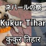 もうじきネパールで行われる「犬を祝うだけの祭り」が盛大かつ平和で最高
