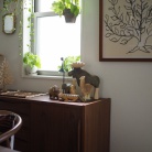 花に興味のないとーさんも、「綺麗やなぁ！」と思わず言った、大輪の花を咲かせるあのお花を飾ってみた！ビフォアフあり！