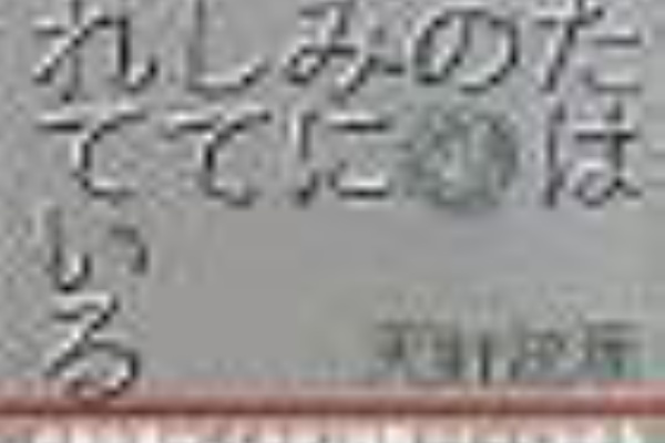 真相ｊａｐａｎ公式ブログ マスコミが絶対に報道しない変人が暴く真実 国内