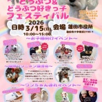 シェルターボラ日記🌸🐱