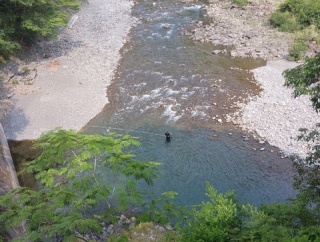 🌞☀ひと雨欲しい☔