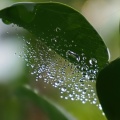 梅雨明けの朝