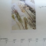 『来年のDKカレンダー決まる。運気を下げない場所とは・・・』の画像