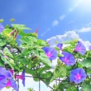2026年(令和８年)７月　菊野台ヨガと整体のスケジュール