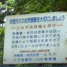 空き地にごみを捨てられた｜勝手に処分する前の確認順と通報先
