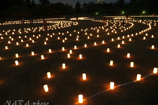 しかふぇち Nara Photo Blog なら燈花会