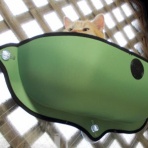 酒とロックな日常