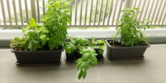 【家を建てる予定】バルコニーとベランダの違いは何？