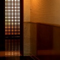 生成は偶然か②