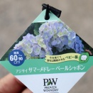 ＰＷのおススメ商品です