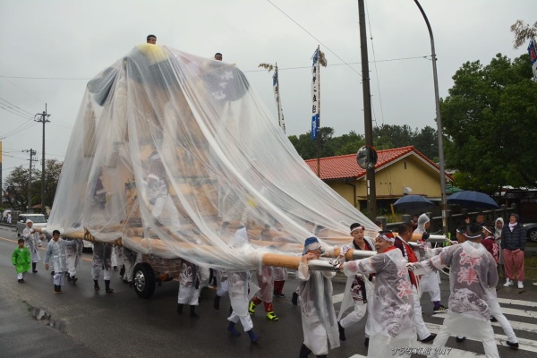 新居浜太鼓祭り、澤津太鼓台旧ふとん締め龍額 🔥御花御礼🔥 今年も沢山