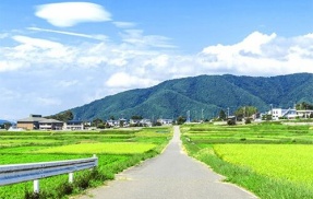 「田舎あるあるなんだけど、歩道はあっても◯◯◯で通れないこと多くない？」←共感の声多数！これどうなってんだよｗｗｗｗ