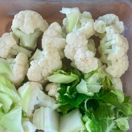 カリフラワーを全部使ってクリーミーグラタン！