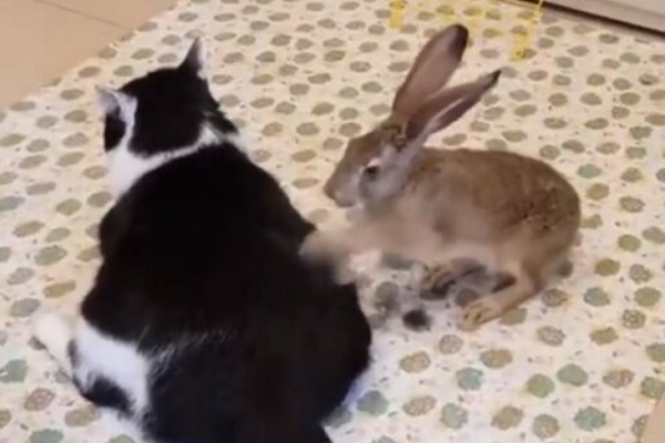 うのくらし ホリホリ うのくらし ホリホリ