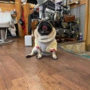 土曜日の、さんちゃん。