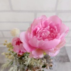 四つ葉のくまさんの癒しのお花、時々お料理日記