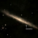 超新星 SN2026Kid