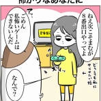 まむの巣