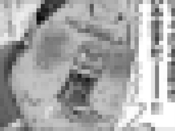 【画像】男版「みいちゃん」がコチラｗｗｗｗｗｗｗｗ