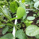 ��Ƥ��Ҥޤ�꤬�����餤�Ƥ��줿����ź����������Ǥ�(^^)/ ����־�����뤯�ʤä�ƻ�Ԥ��ͤ�­��ߤ�ƿ��⾯�������뤯���Ƥ���������(*^_^*)