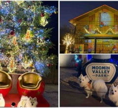 犬連れて メッツァビレッジ イルミネーション