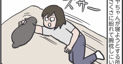 どうしても枕になりたい