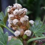 勝又壽良のワールドビュー