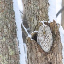 ここは最後かも