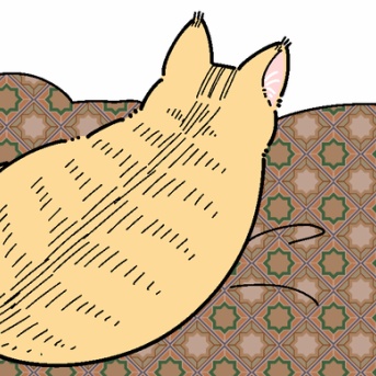 愛猫のおはよう