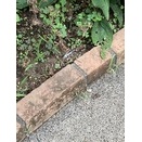 自筆譜で（その５）